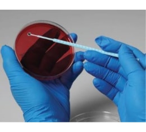 Aeromonas salmonicida, штамм ATCC 33658, 5 петель, Сulti-Loops, Thermo FS Aeromonas salmonicida, штамм ATCC 33658, 5 петель, Сulti-Loops, Thermo FS